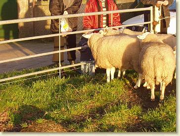 20051225-02 Schapen voeren met oma